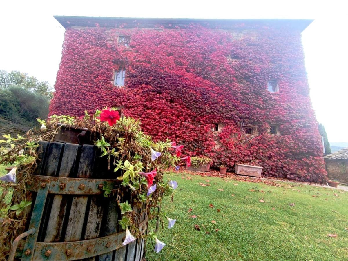 Locanda Di Santantimo Bed and Breakfast Chiassa Superiore Exterior foto